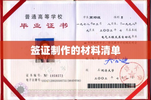 武胜签证制作的材料清单