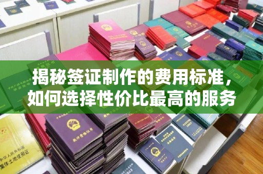武胜揭秘签证制作的费用标准，如何选择性价比最高的服务？