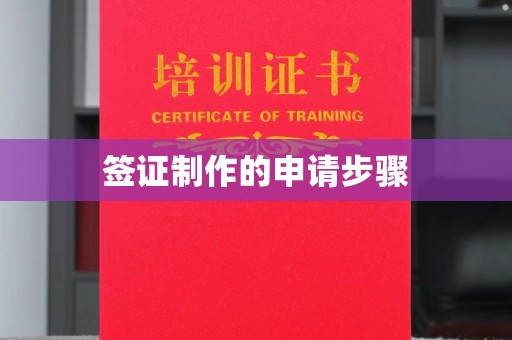 武胜签证制作的申请步骤