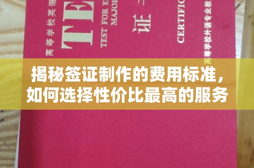 武胜揭秘签证制作的费用标准，如何选择性价比最高的服务？